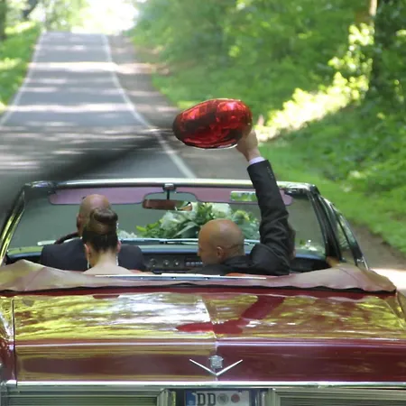 בית נופש By The Forest Modern Retreat