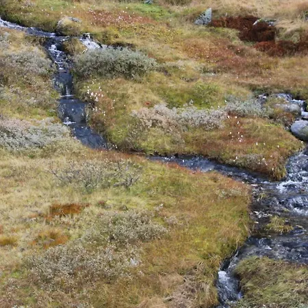 בית נופש By The Forest Modern Retreat Tharandt