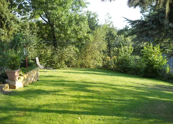 By The Forest Modern Retreat Tharandt